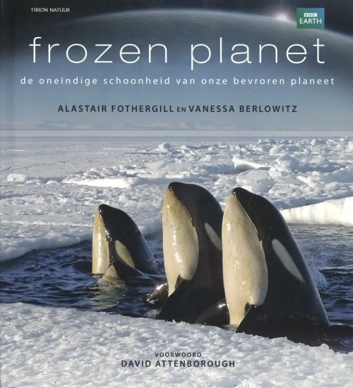https://ls.codetech.nl/shops/264760/files/423837895/file.jpg