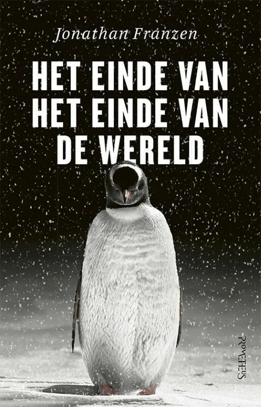 https://ls.codetech.nl/shops/264760/files/423838354/file.jpg