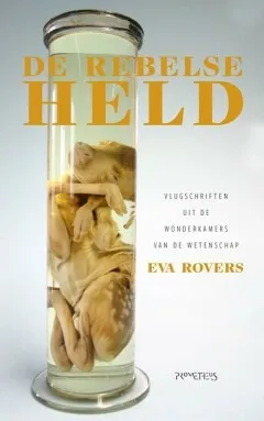 https://ls.codetech.nl/shops/264760/files/423838819/file.jpg