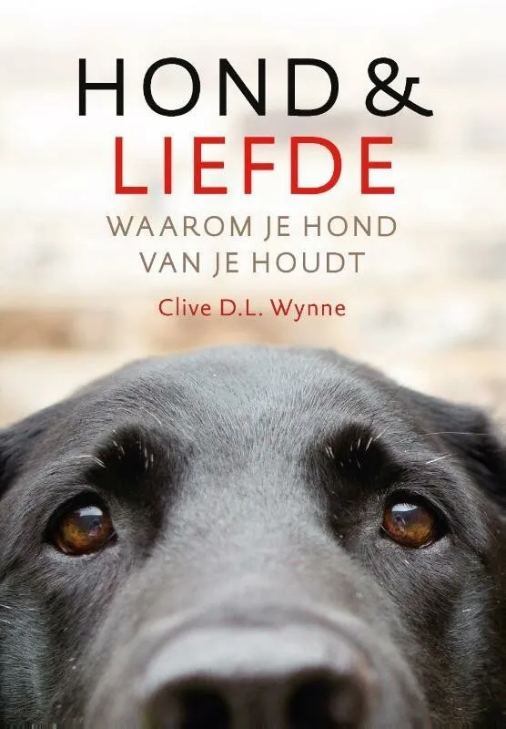 https://ls.codetech.nl/shops/264760/files/426466202/file.jpg