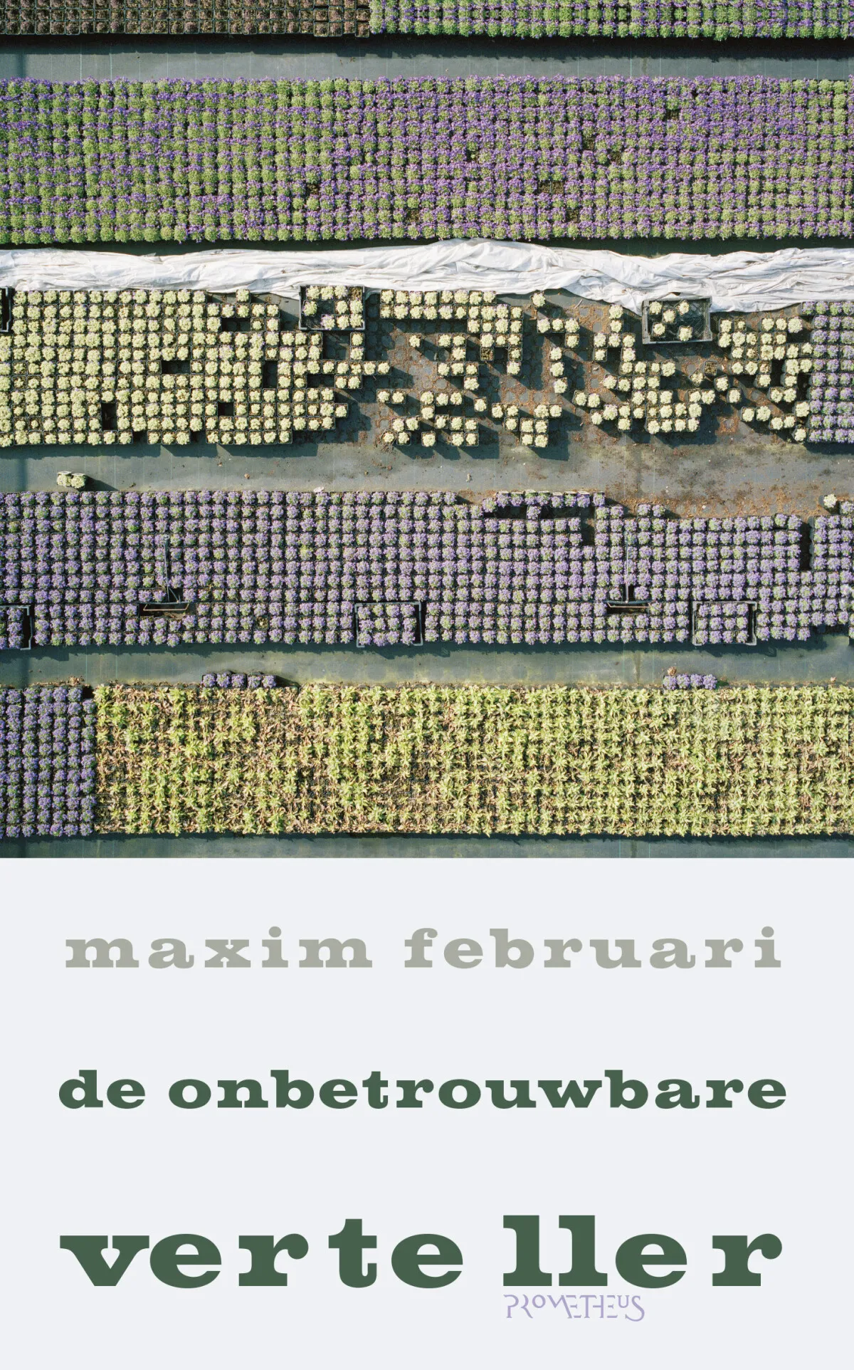 https://ls.codetech.nl/shops/264760/files/438754556/file.jpg