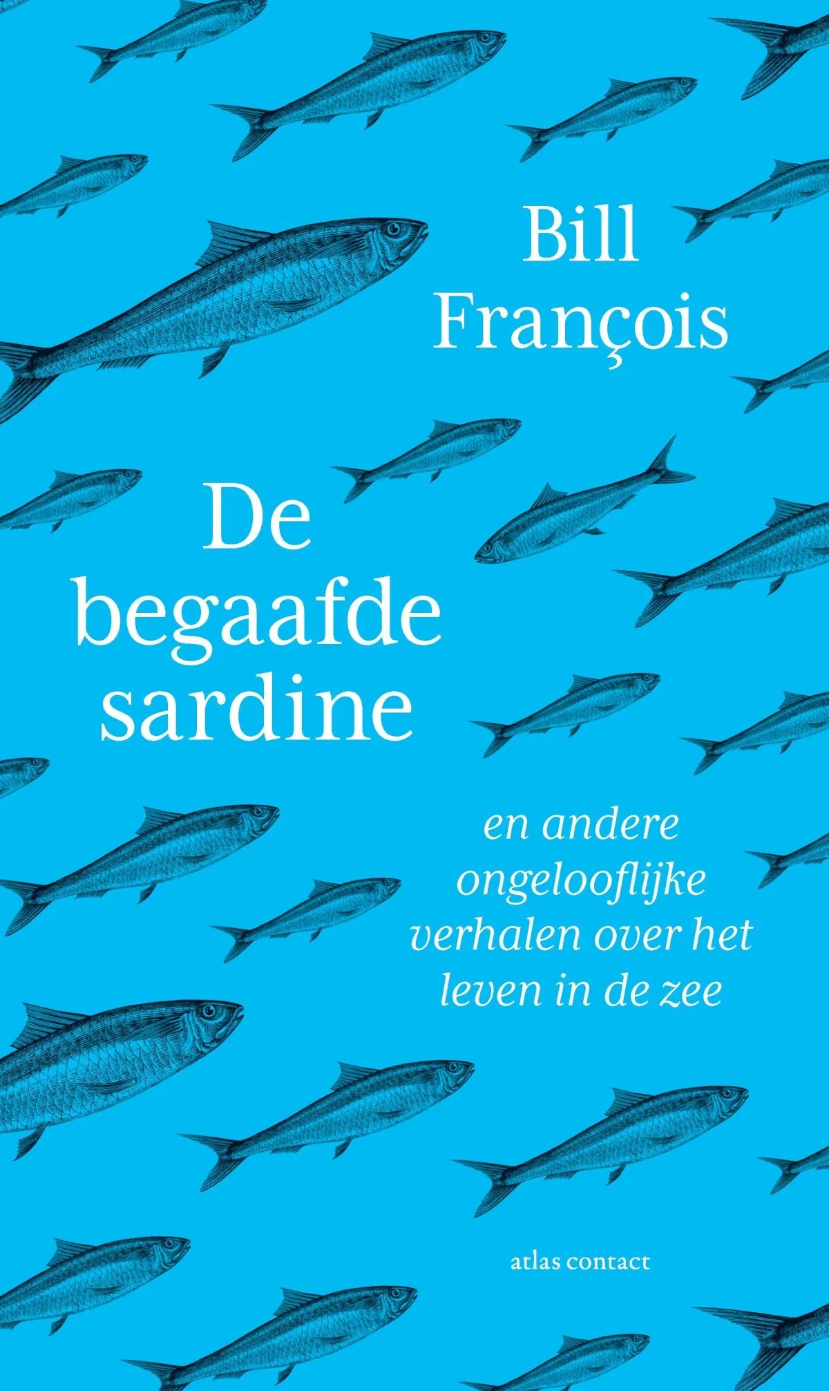 https://ls.codetech.nl/shops/264760/files/438755371/file.jpg
