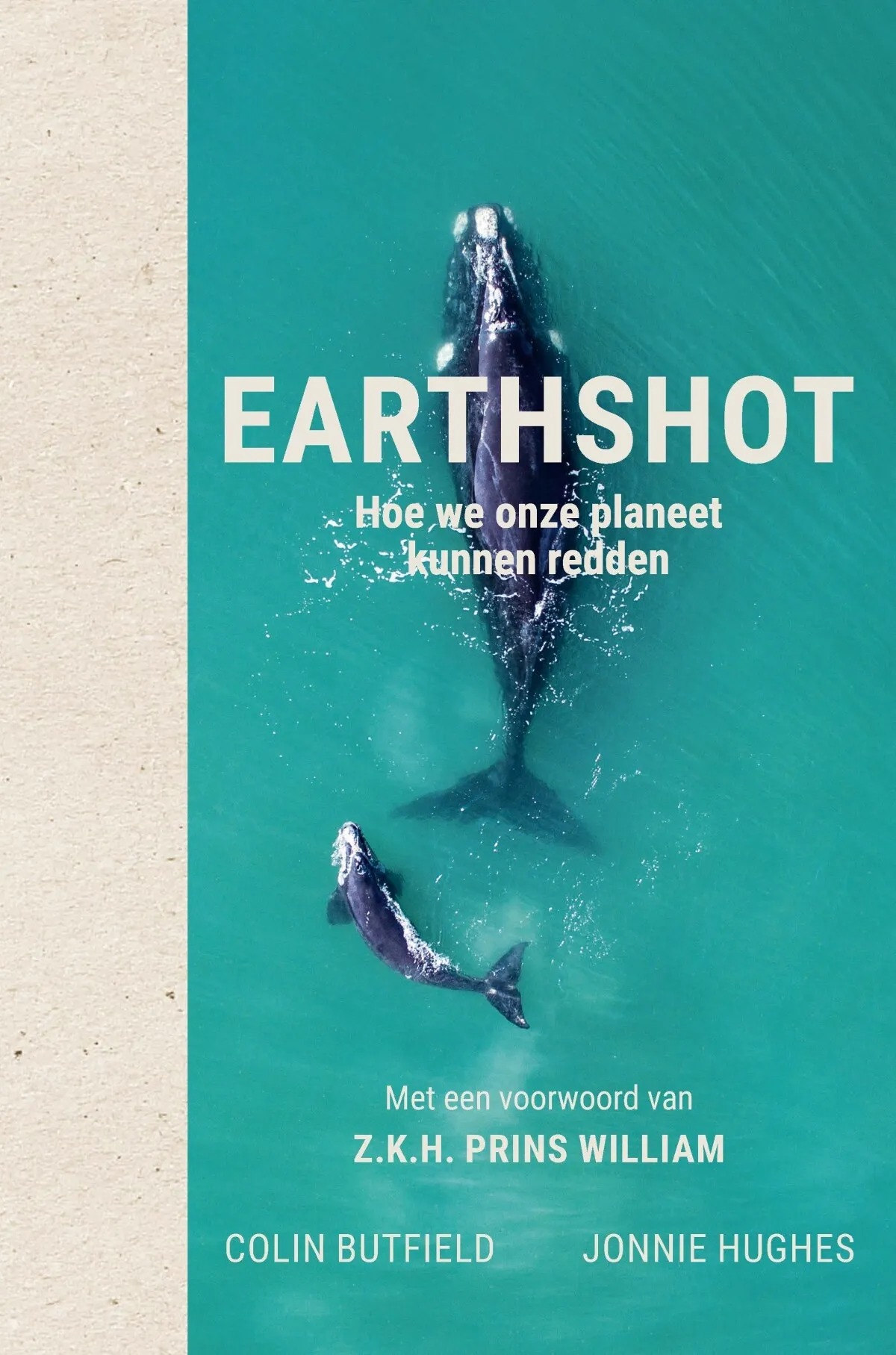 https://ls.codetech.nl/shops/264760/files/438755881/file.jpg