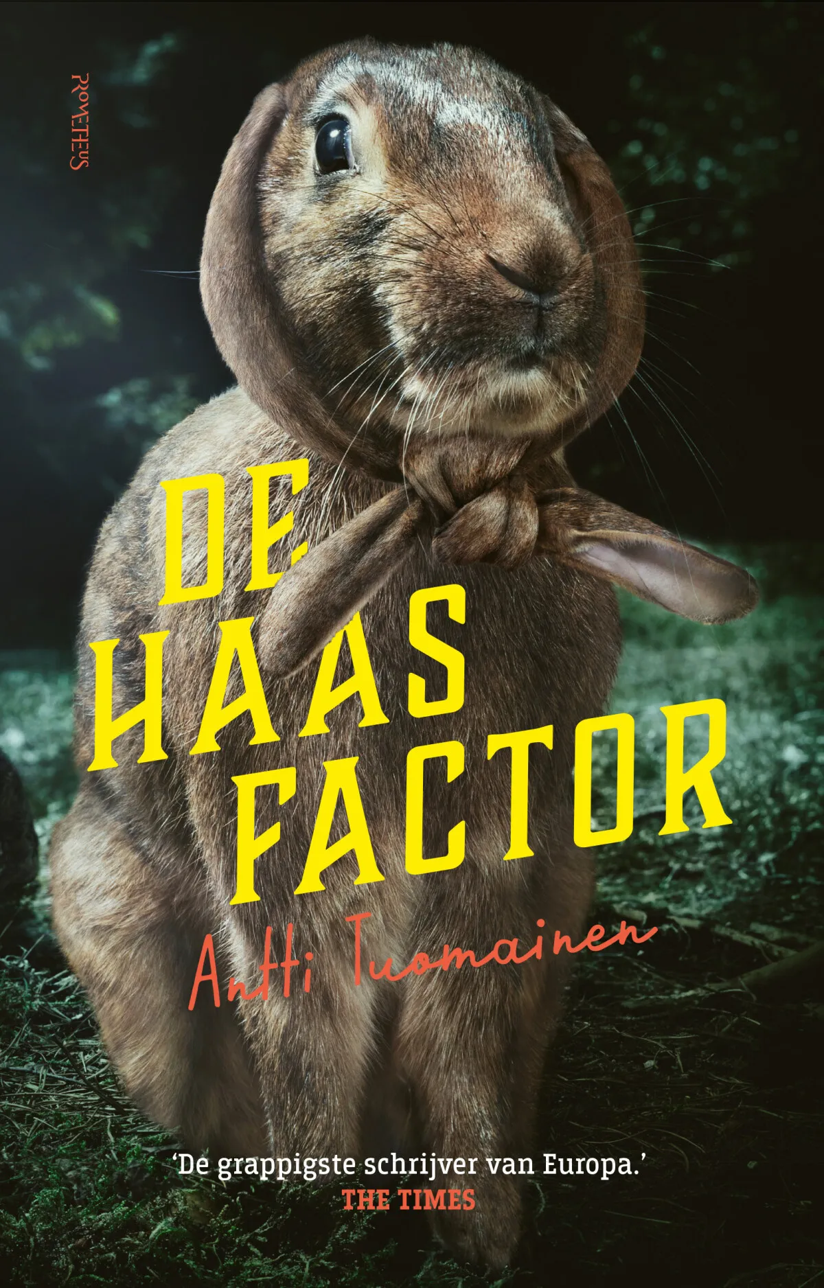 https://ls.codetech.nl/shops/264760/files/438756155/file.jpg