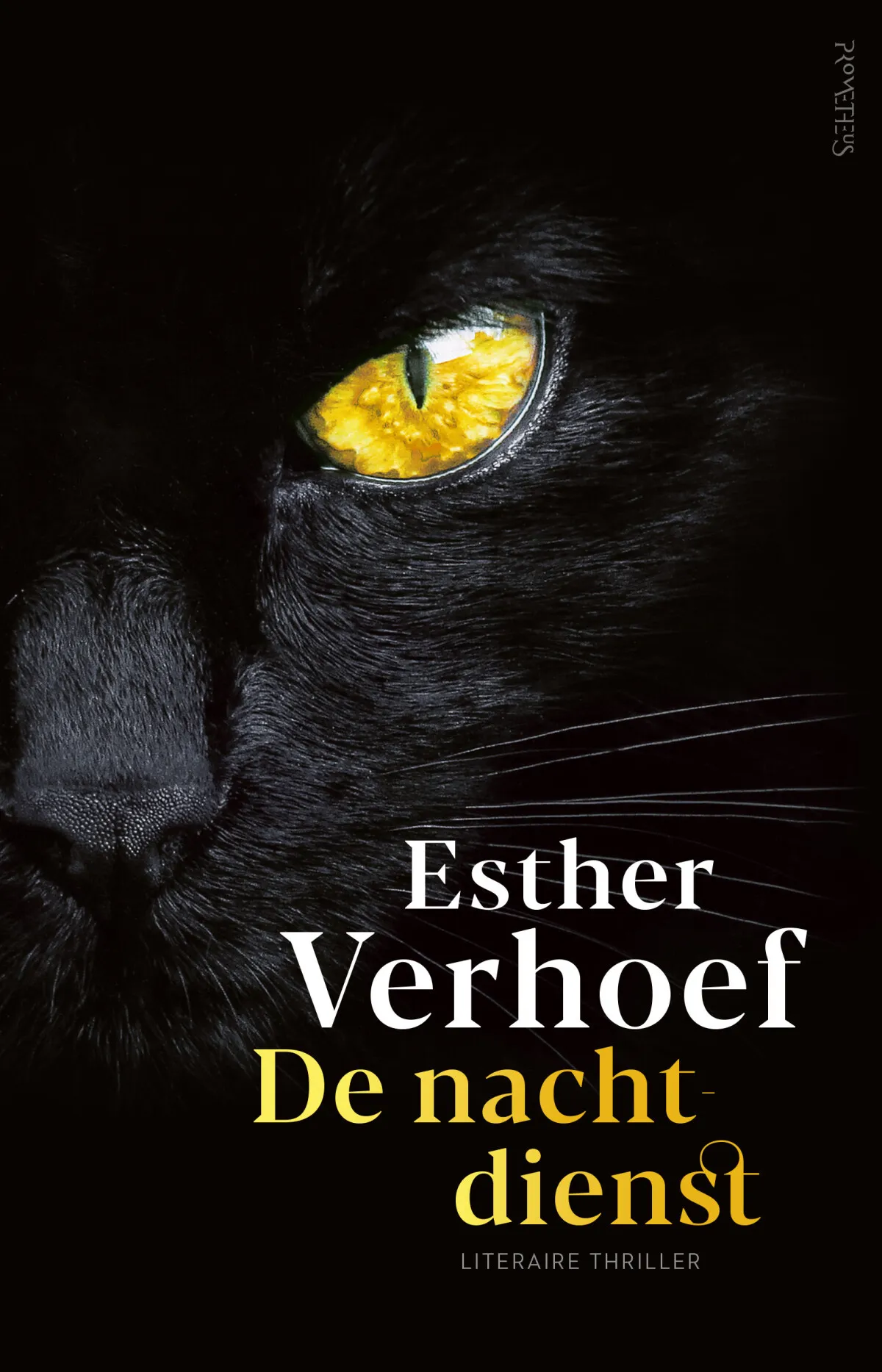 https://ls.codetech.nl/shops/264760/files/438757236/file.jpg