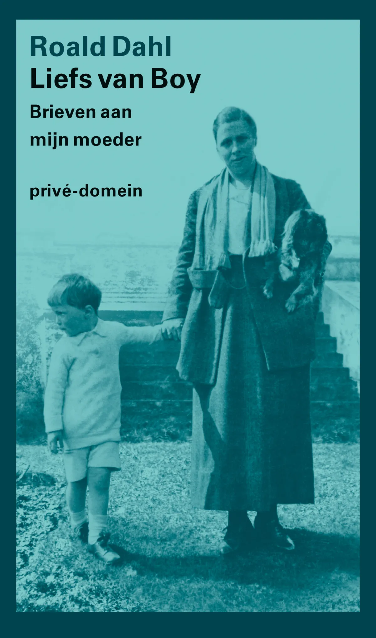 https://ls.codetech.nl/shops/264760/files/438757526/file.jpg