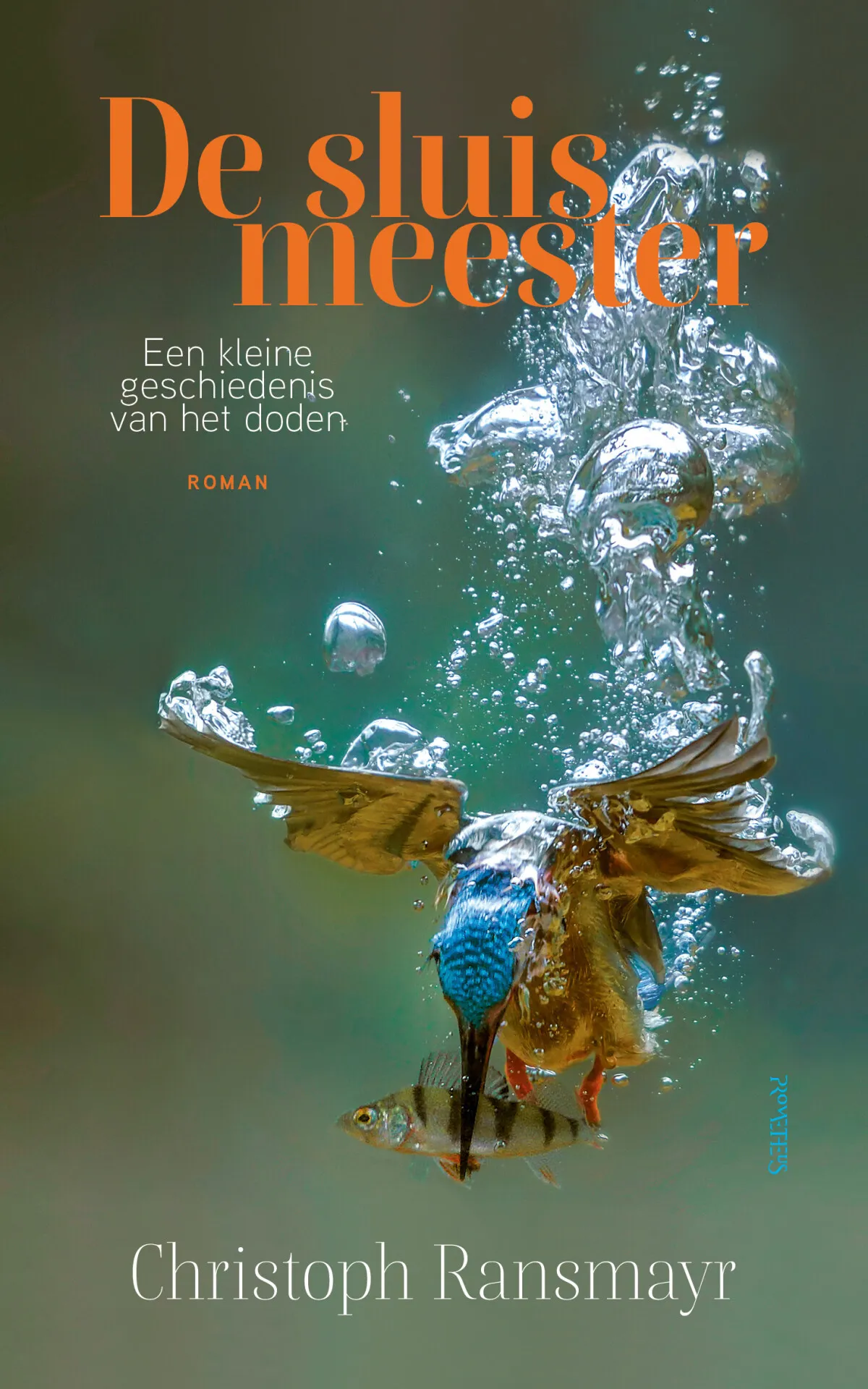 https://ls.codetech.nl/shops/264760/files/438759748/file.jpg