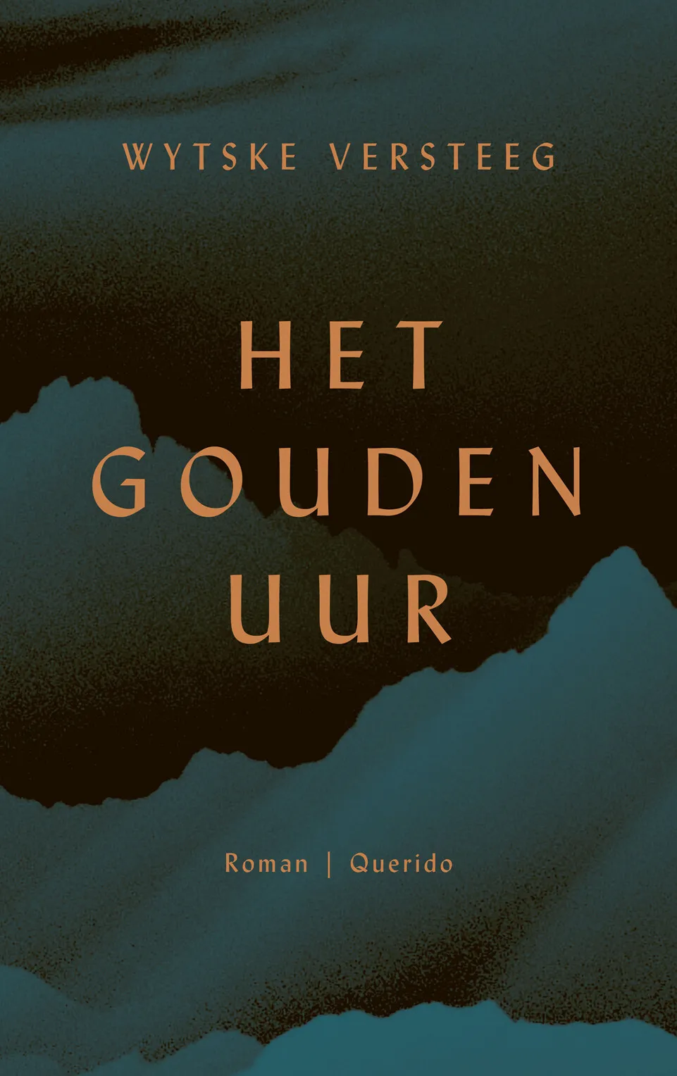 https://ls.codetech.nl/shops/264760/files/438760452/file.jpg