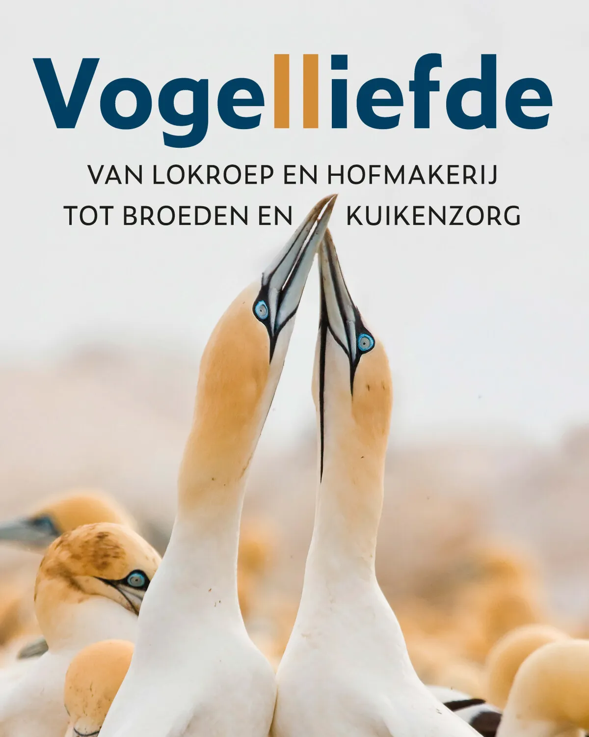 https://ls.codetech.nl/shops/264760/files/438760821/file.jpg
