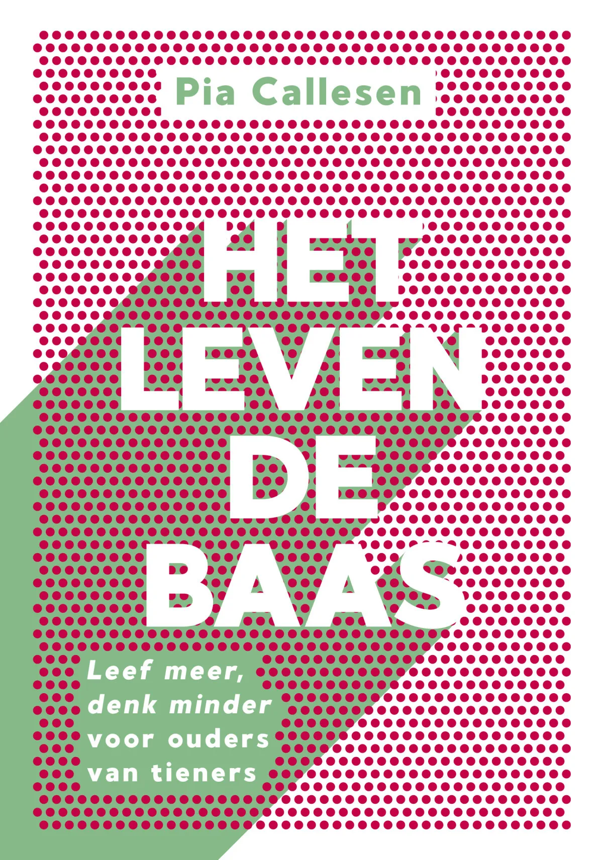 https://ls.codetech.nl/shops/264760/files/438761269/file.jpg
