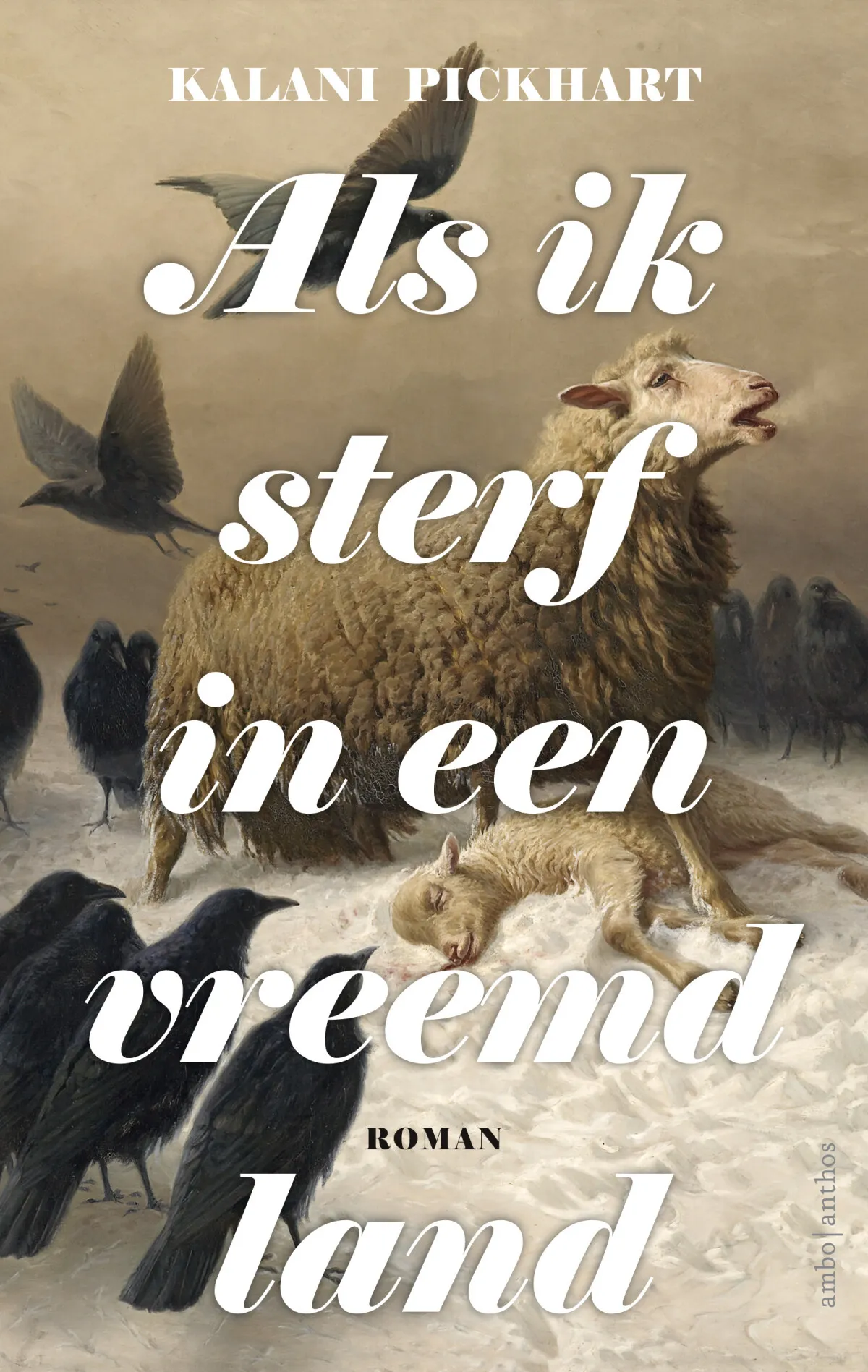 https://ls.codetech.nl/shops/264760/files/438761765/file.jpg