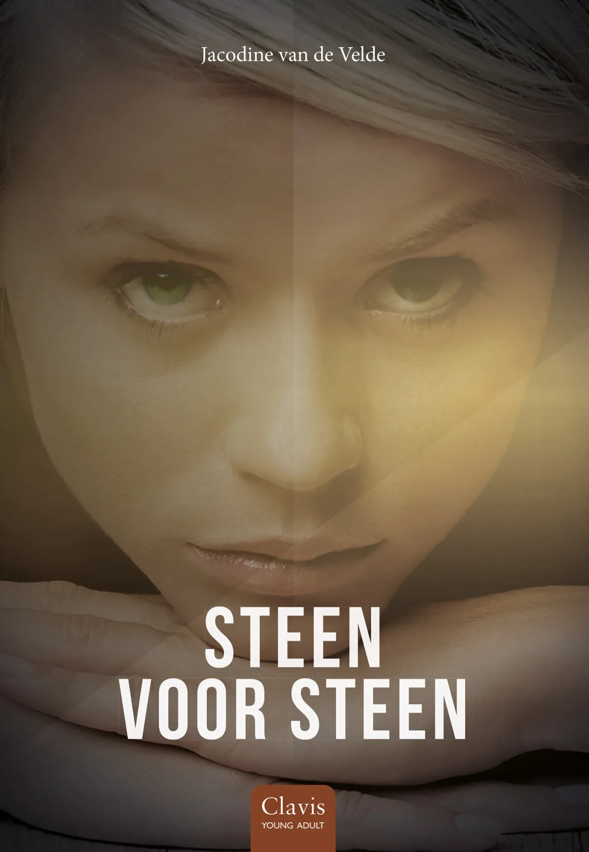 https://ls.codetech.nl/shops/264760/files/438762018/file.jpg