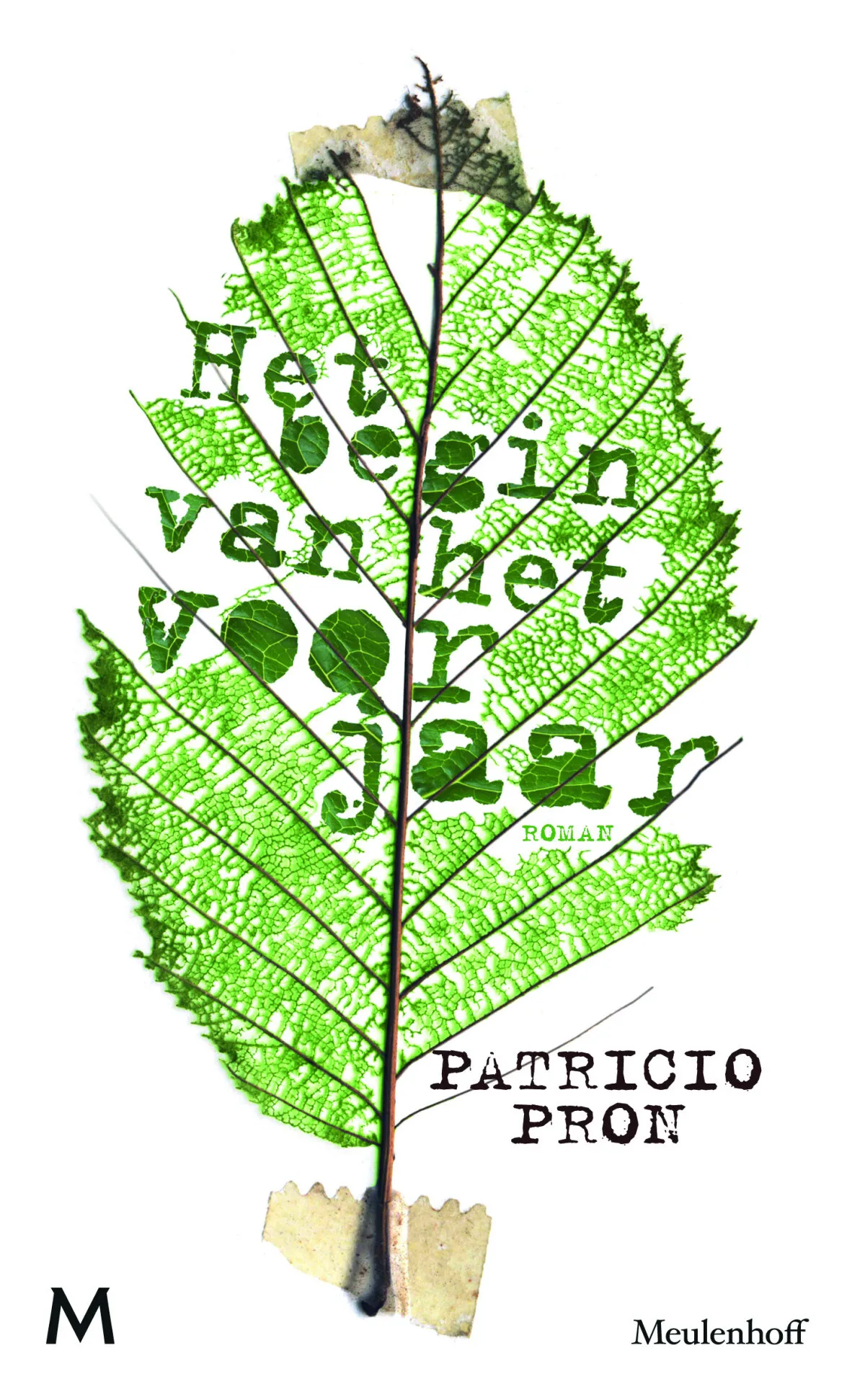 https://ls.codetech.nl/shops/264760/files/439201669/file.jpg