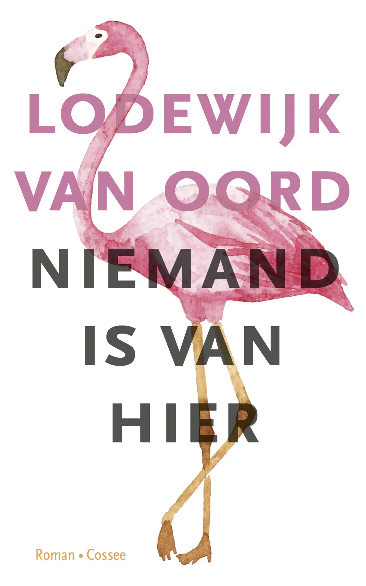 https://ls.codetech.nl/shops/264760/files/439202308/file.jpg
