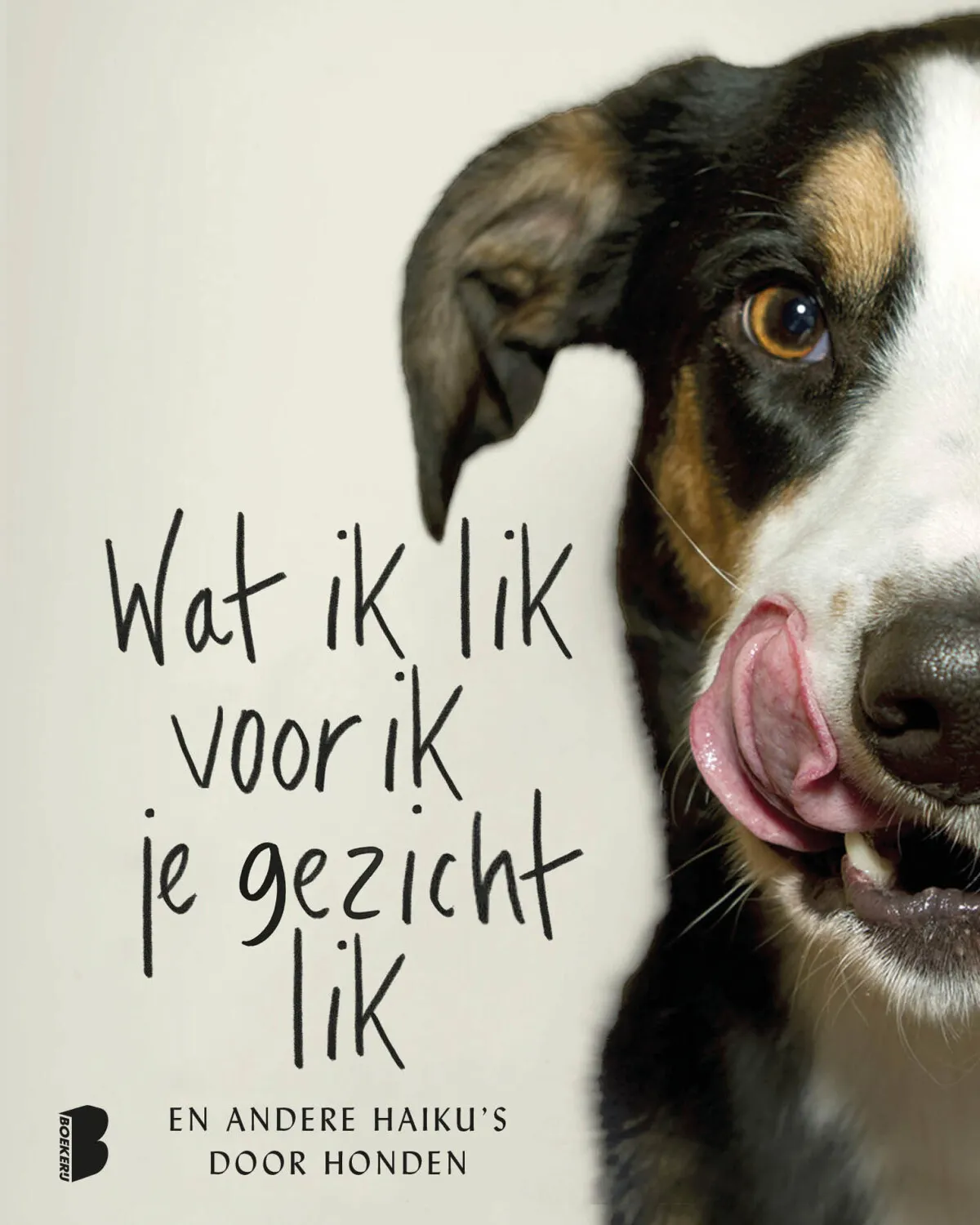 https://ls.codetech.nl/shops/264760/files/439203093/file.jpg