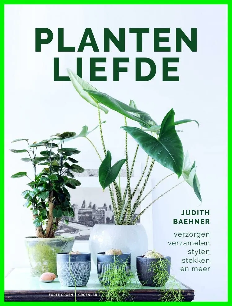 https://ls.codetech.nl/shops/264760/files/439203485/file.jpg