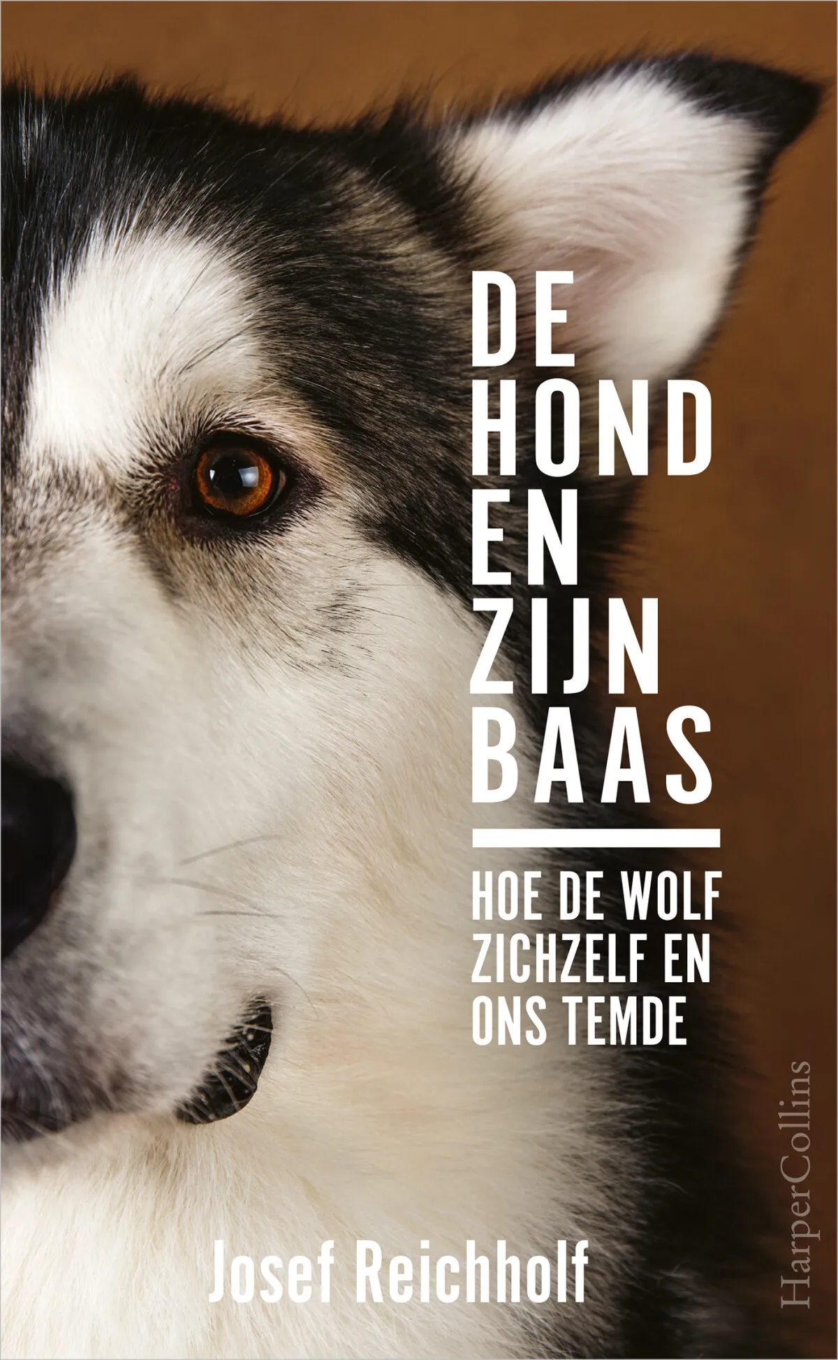 https://ls.codetech.nl/shops/264760/files/439203640/file.jpg