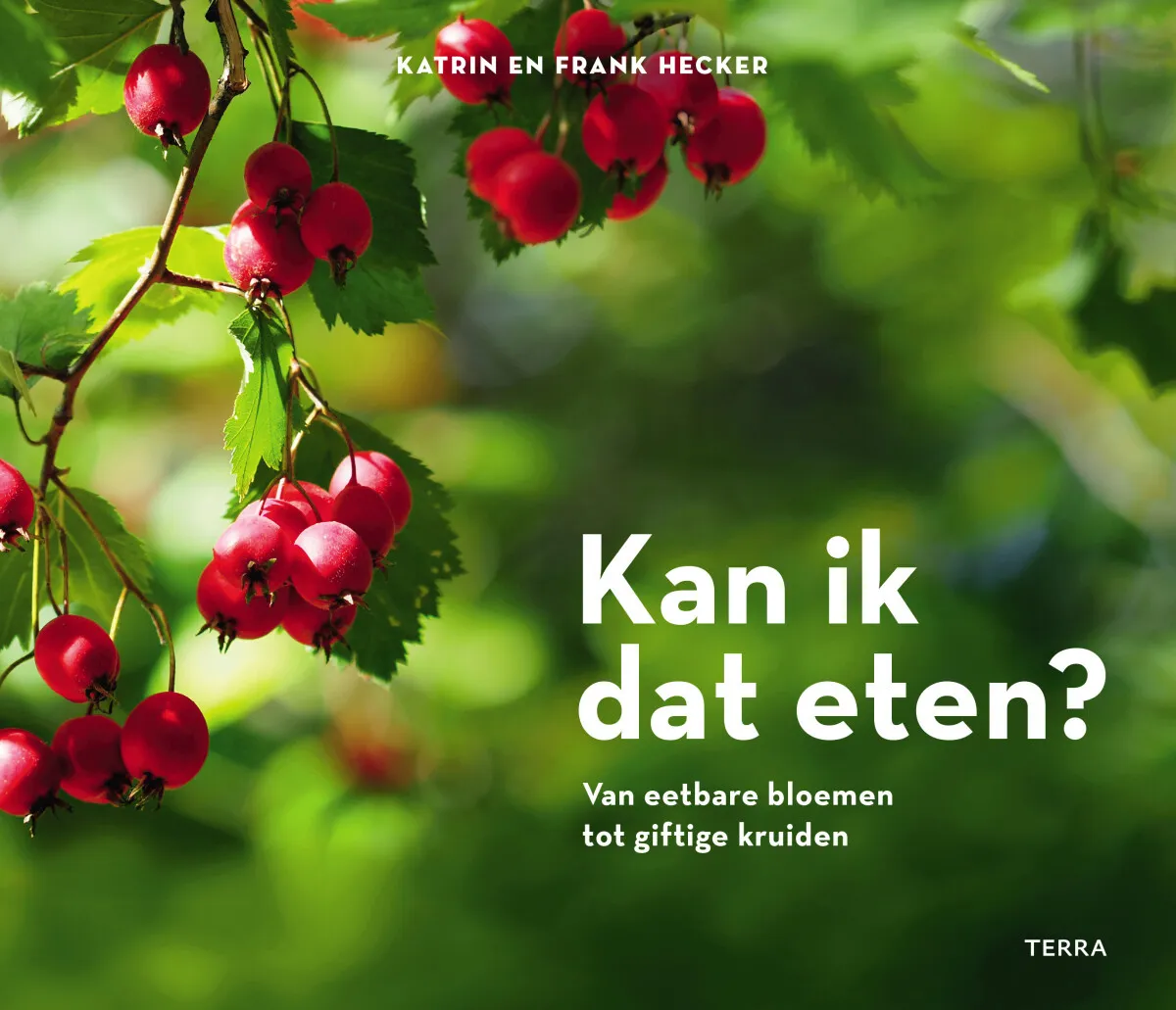 https://ls.codetech.nl/shops/264760/files/439204811/file.jpg