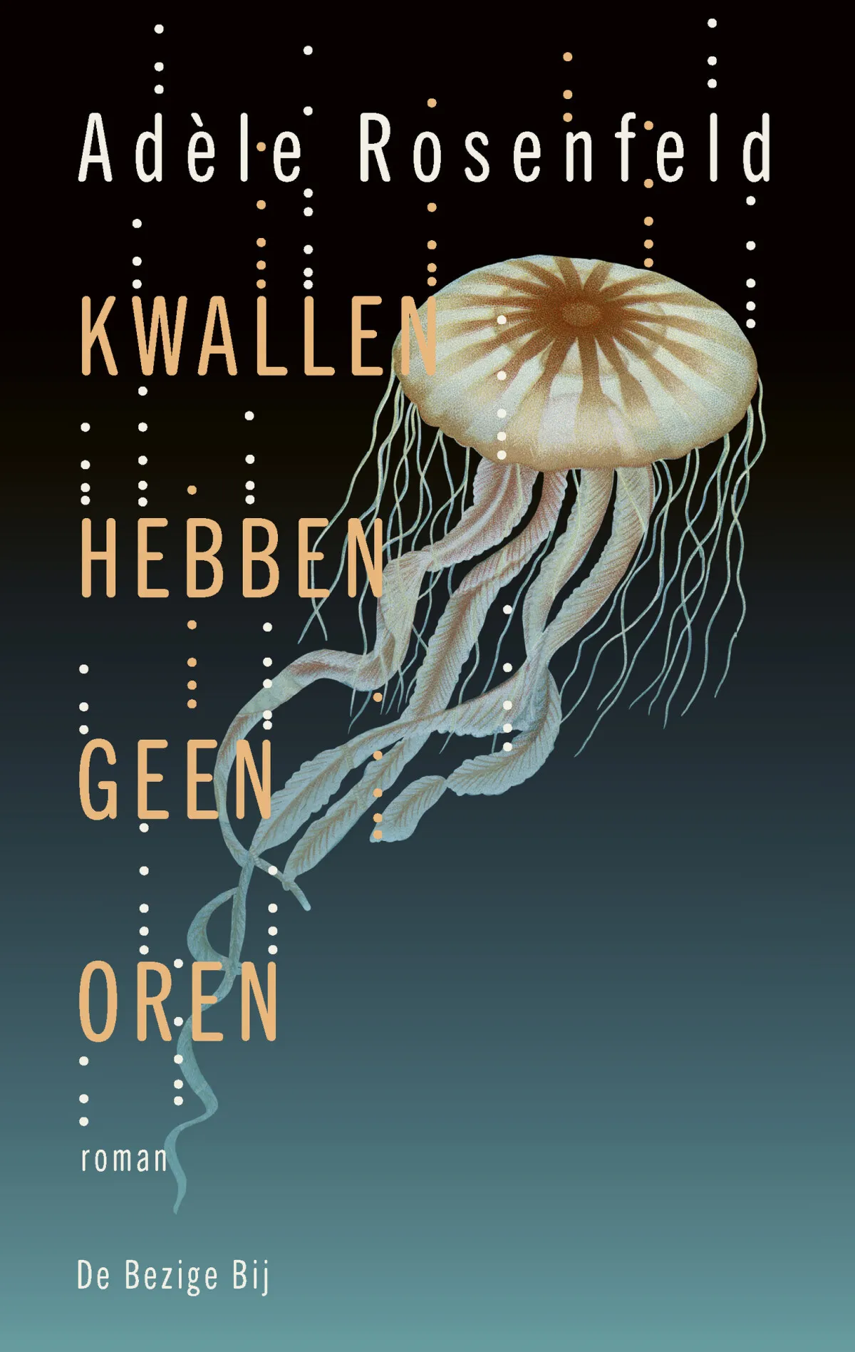 https://ls.codetech.nl/shops/264760/files/439205496/file.jpg