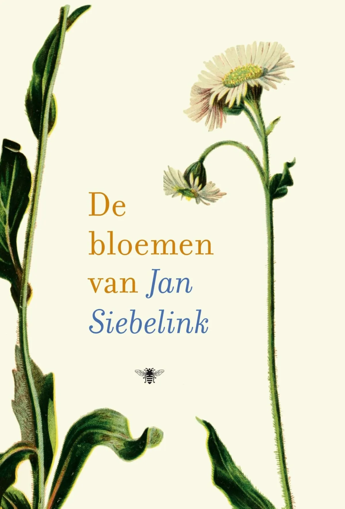https://ls.codetech.nl/shops/264760/files/439697510/file.jpg