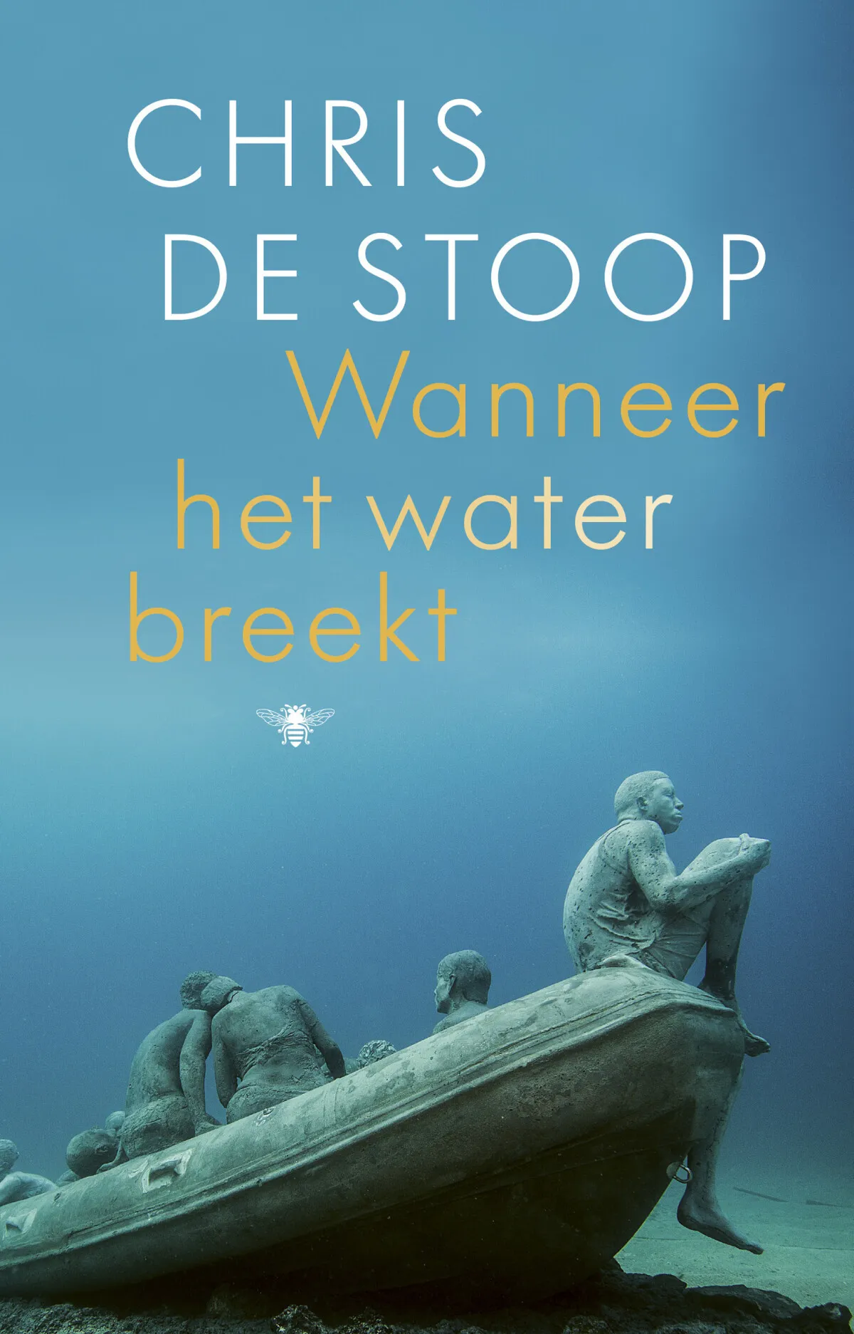 https://ls.codetech.nl/shops/264760/files/439697600/file.jpg