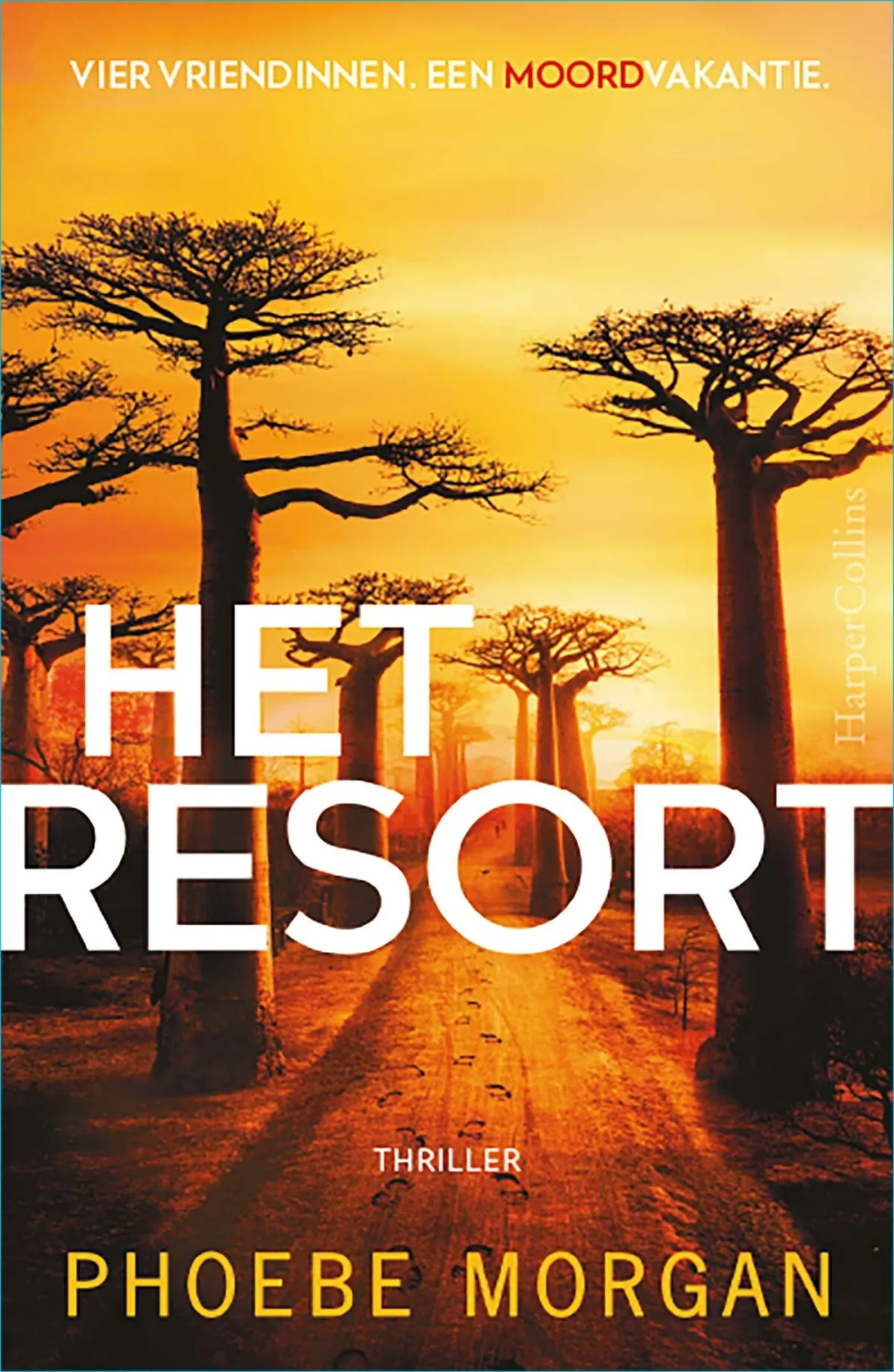 https://ls.codetech.nl/shops/264760/files/439699132/file.jpg