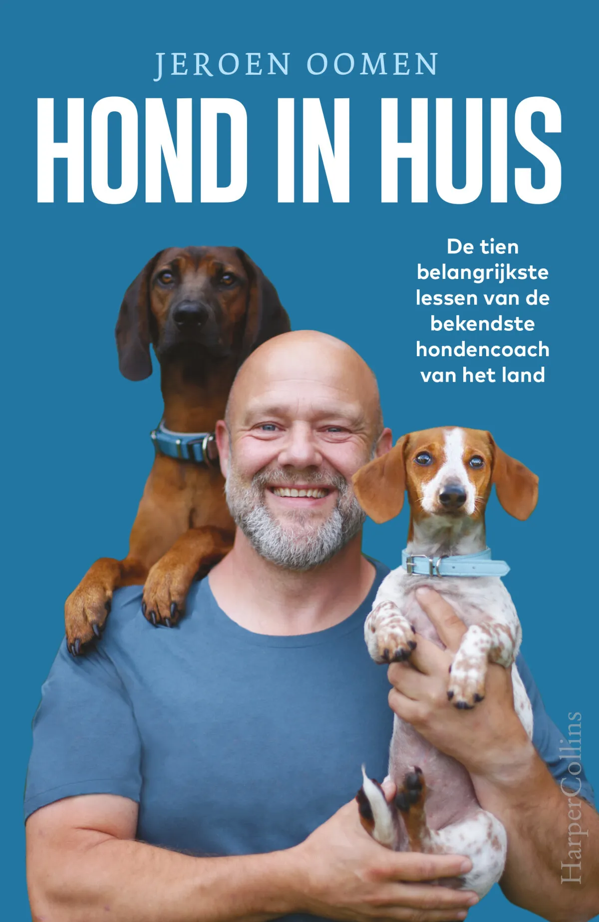 https://ls.codetech.nl/shops/264760/files/439699685/file.jpg