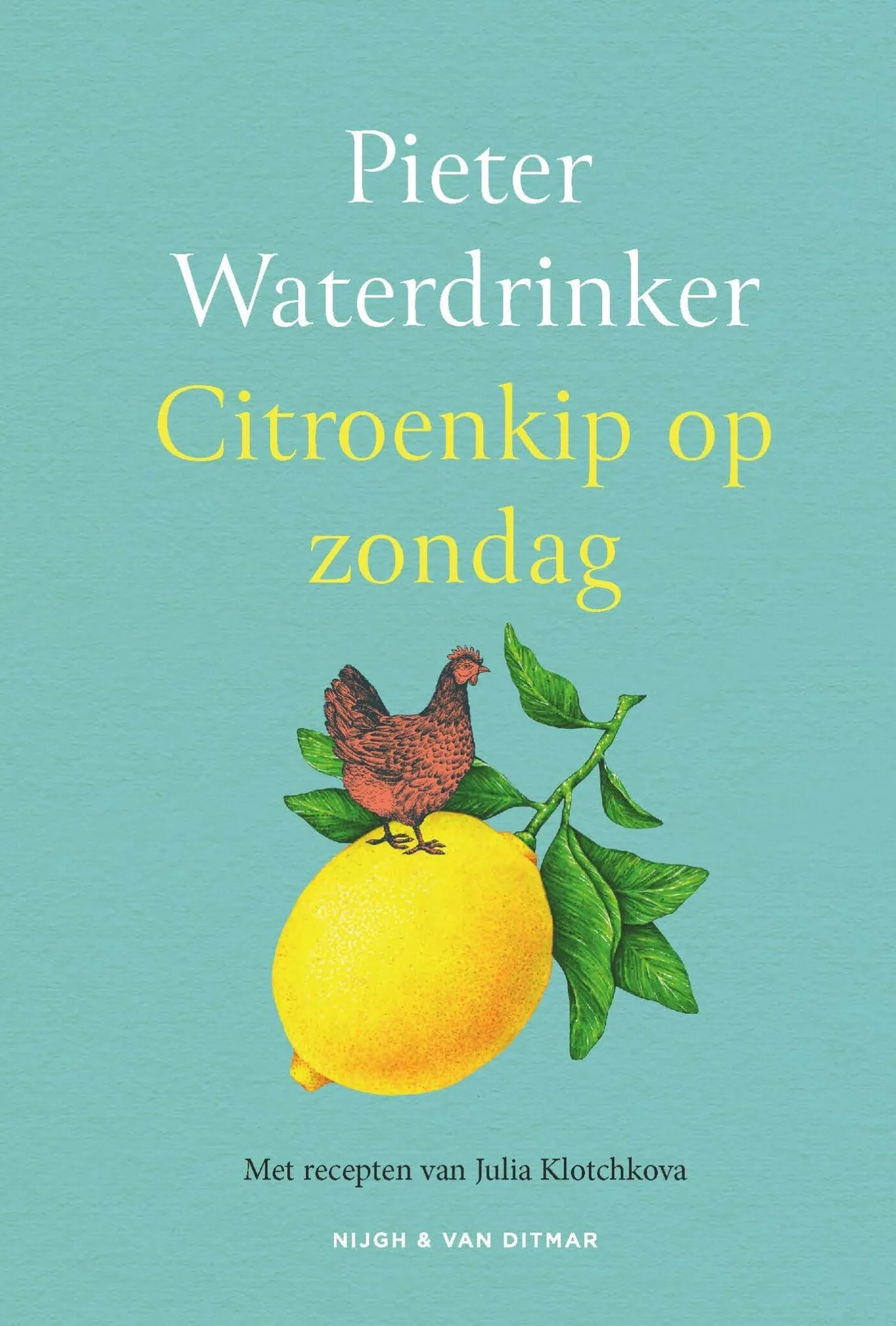 https://ls.codetech.nl/shops/264760/files/449414335/file.jpg