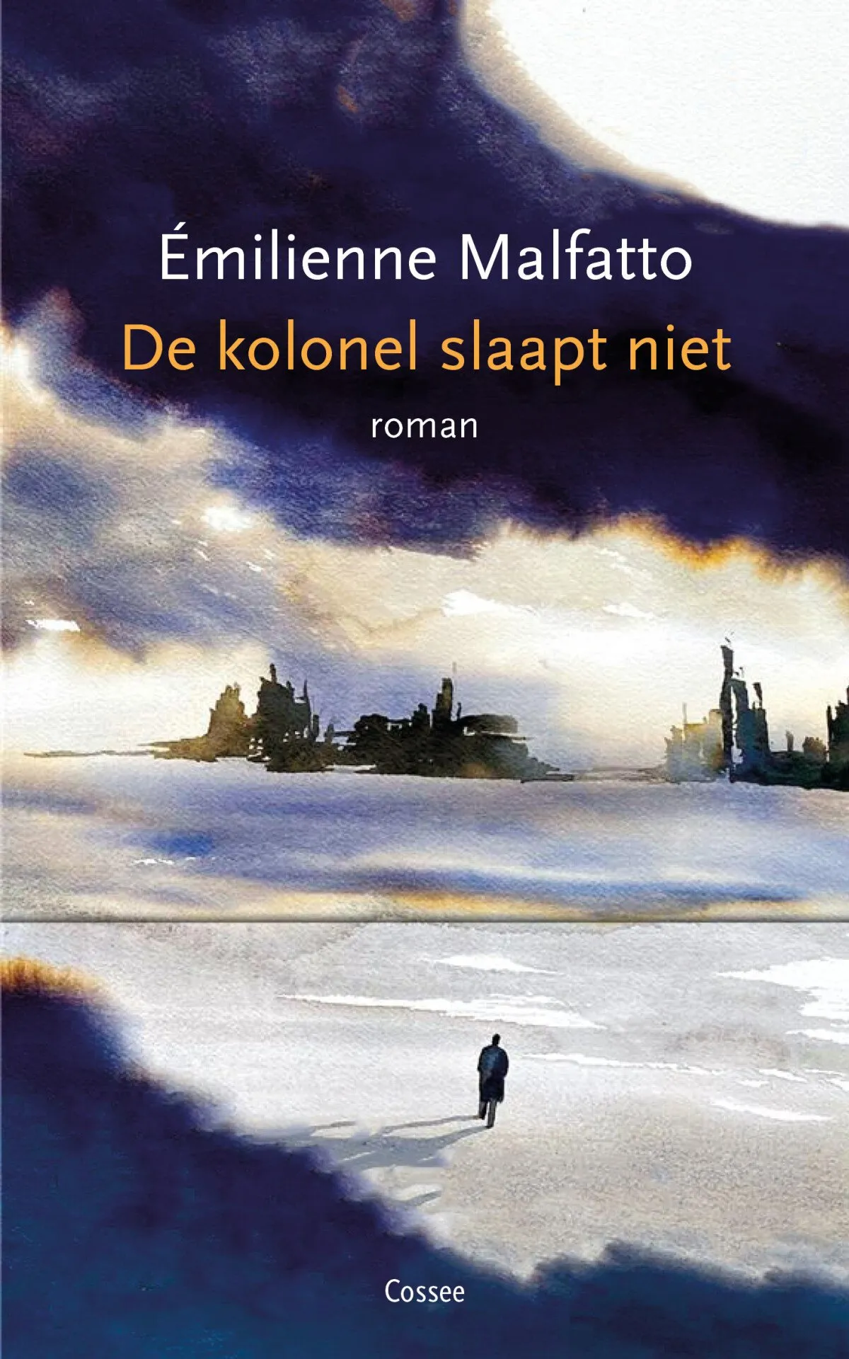 https://ls.codetech.nl/shops/264760/files/454805187/file.jpg