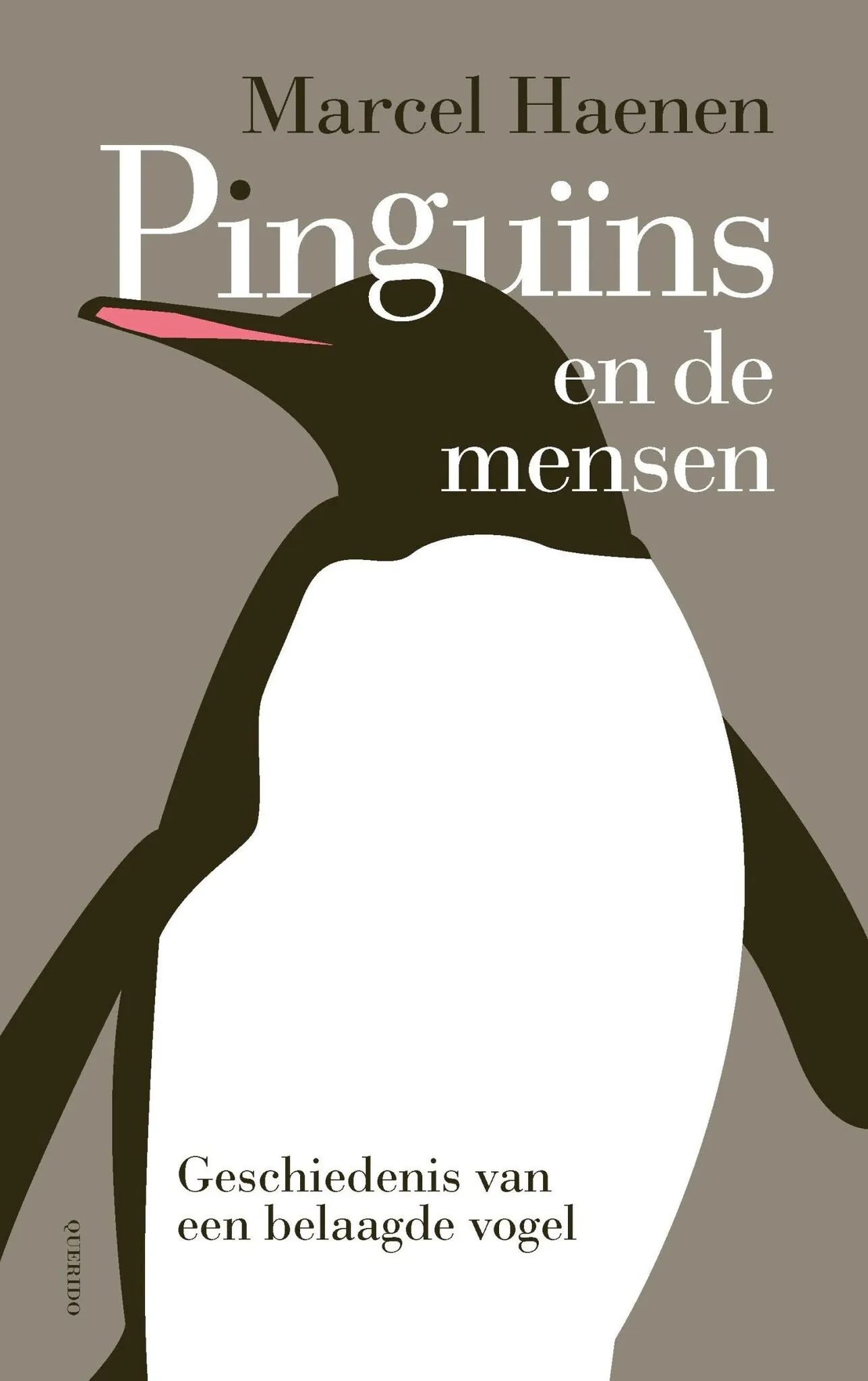 https://ls.codetech.nl/shops/264760/files/460781452/file.jpg