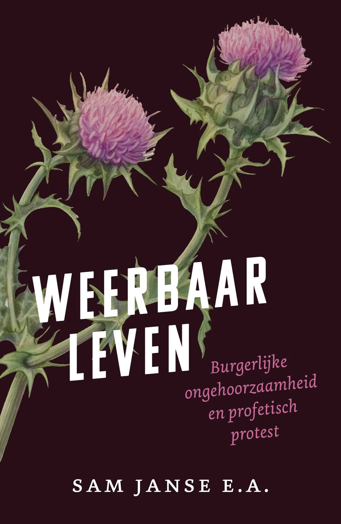 https://ls.codetech.nl/shops/264760/files/465872609/file.jpg