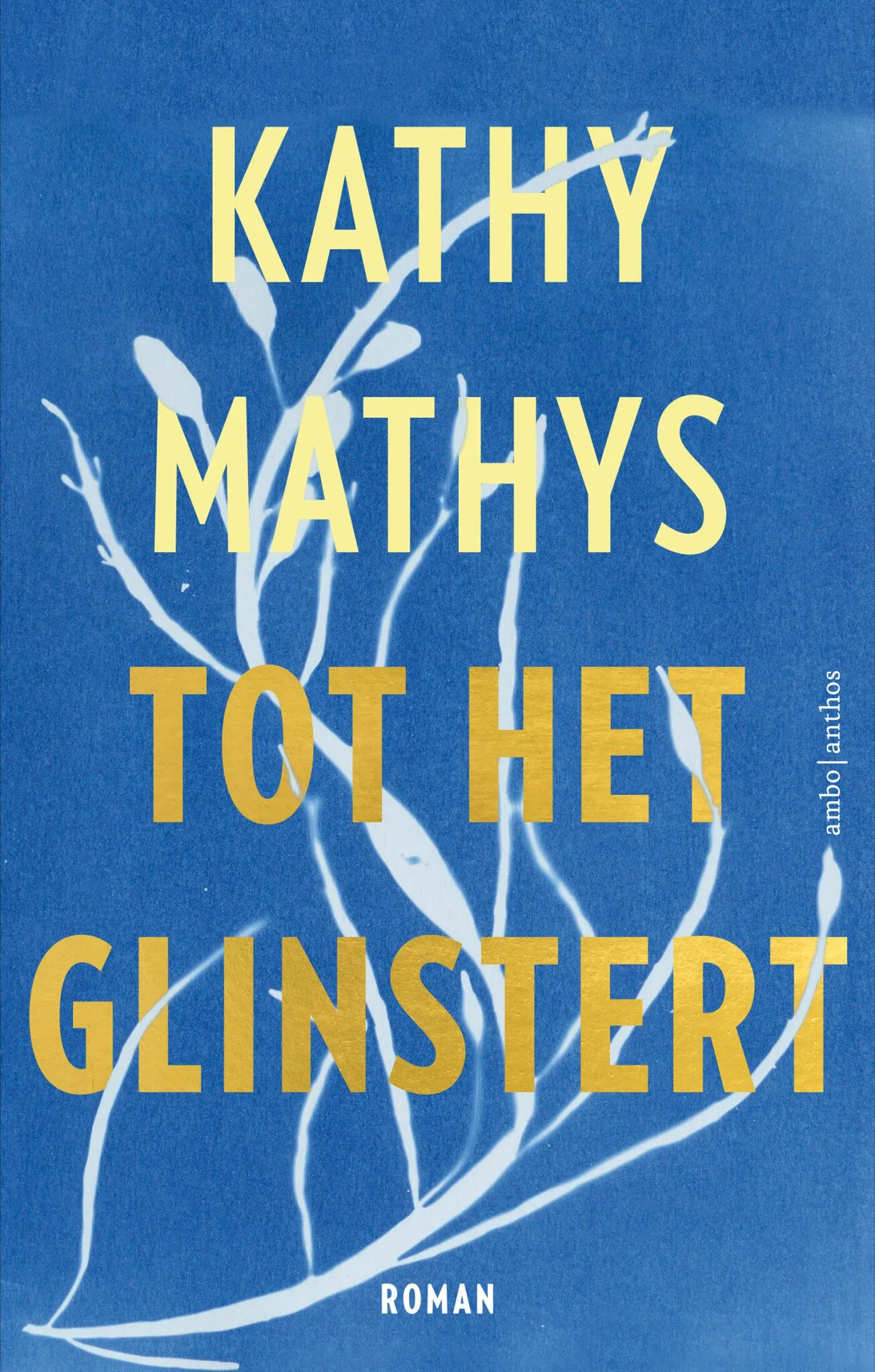 https://ls.codetech.nl/shops/264760/files/468877071/file.jpg