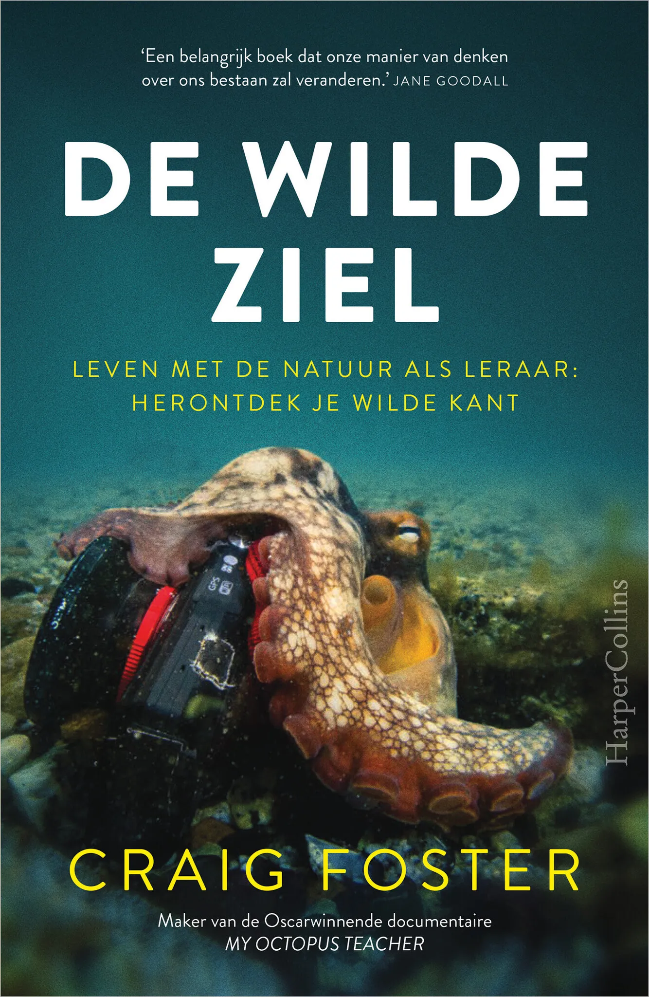 https://ls.codetech.nl/shops/264760/files/477136936/file.jpg