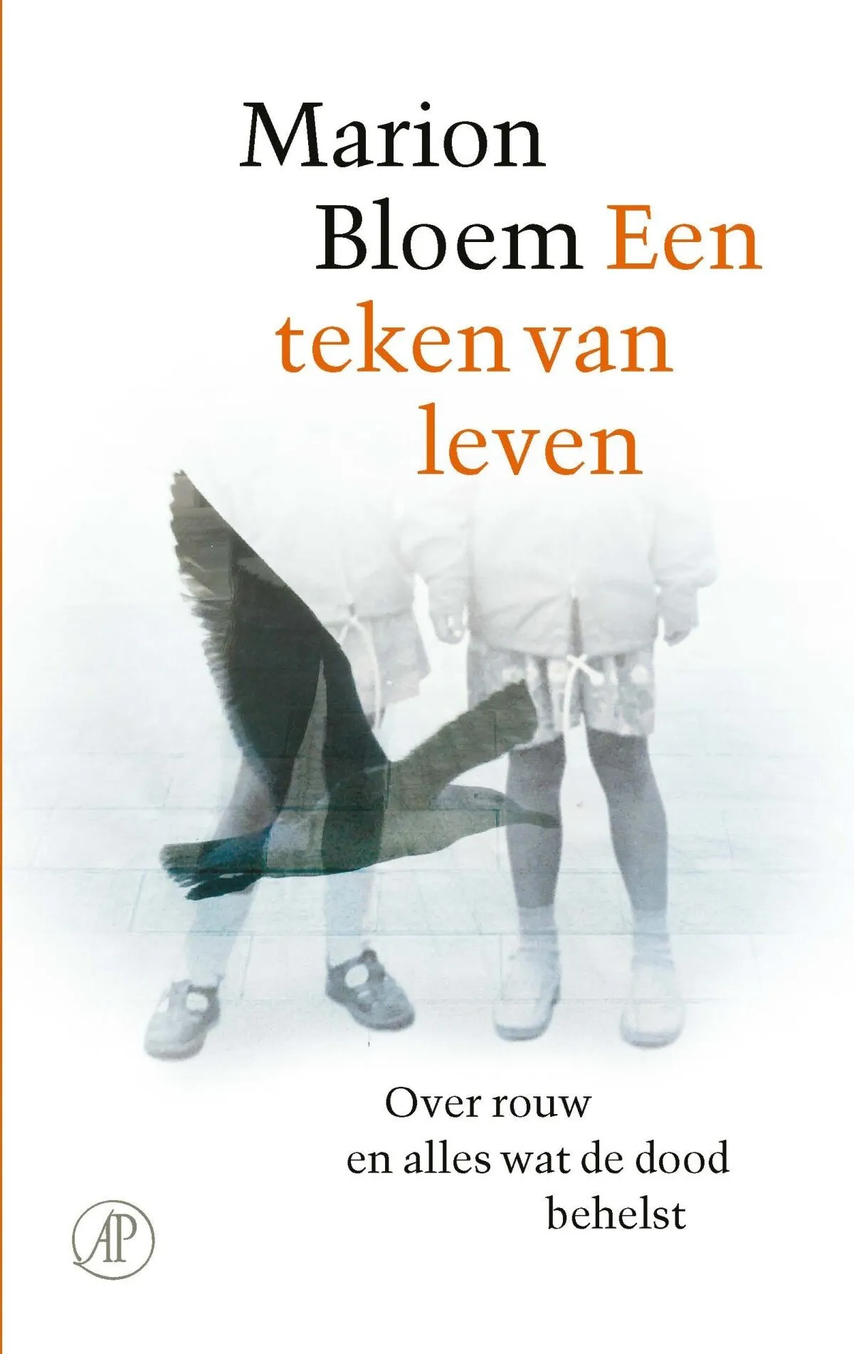 https://ls.codetech.nl/shops/264760/files/491424163/file.jpg