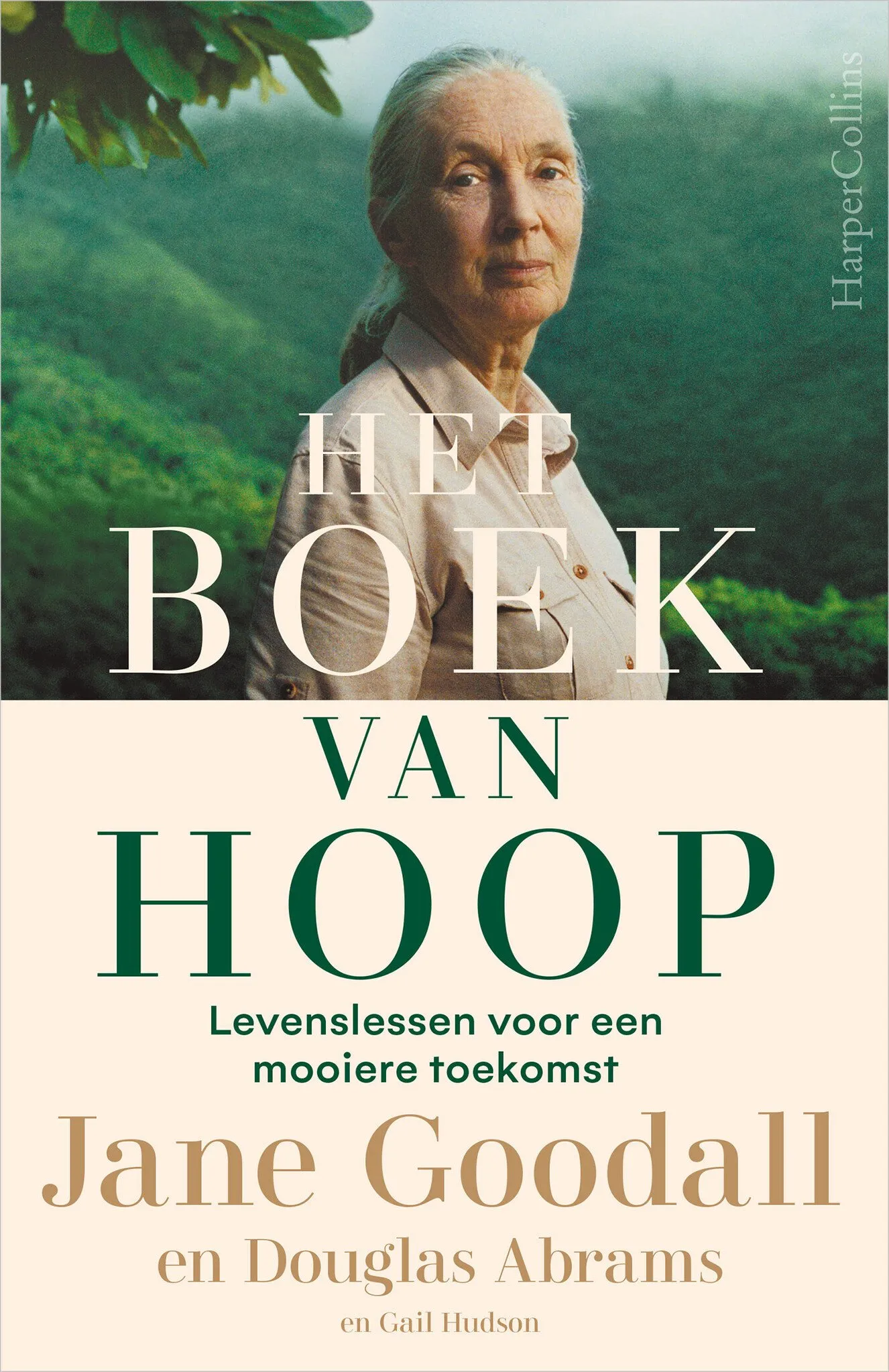 https://ls.codetech.nl/shops/264760/files/491424828/file.jpg