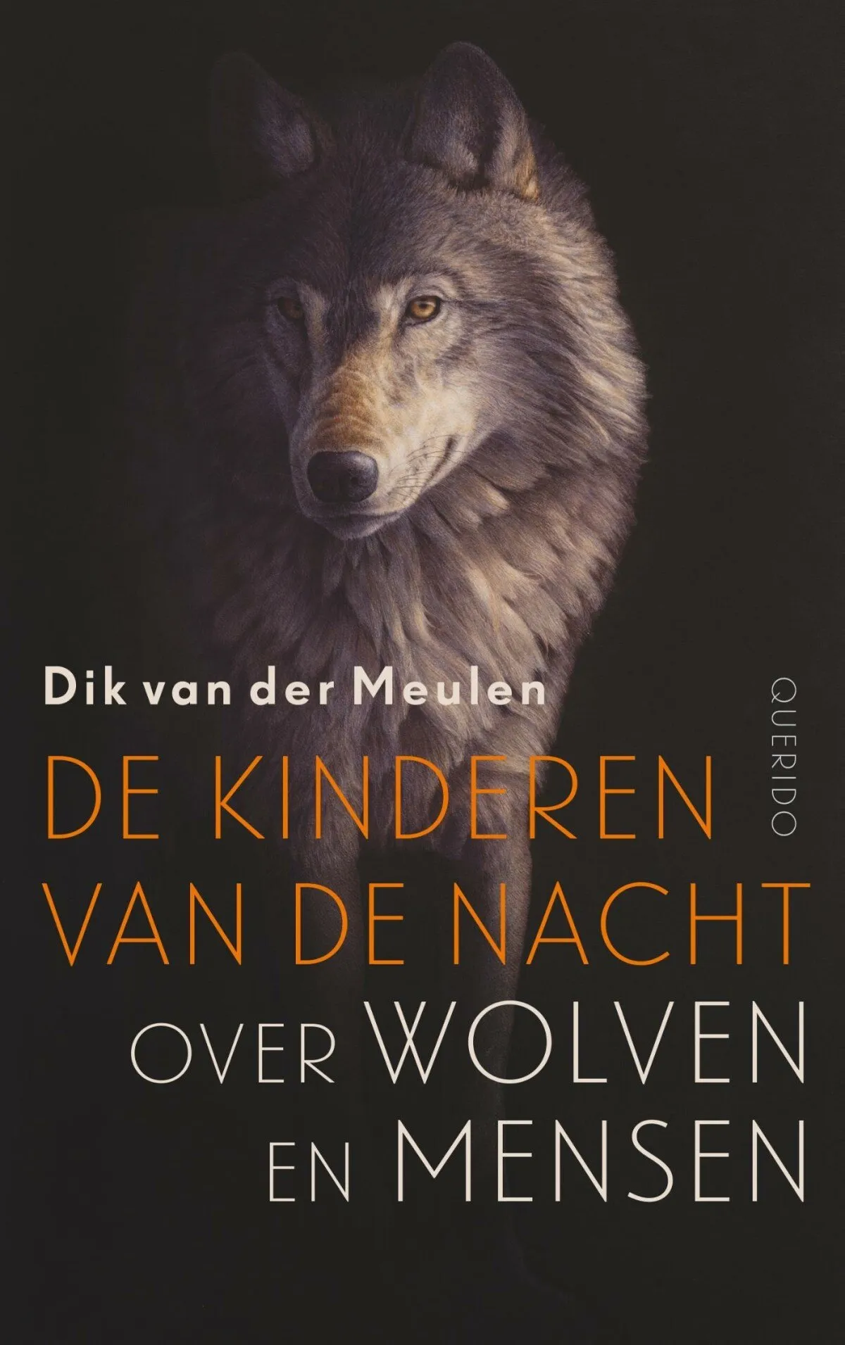 https://ls.codetech.nl/shops/264760/files/493008099/file.jpg