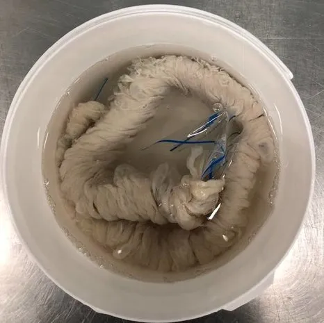 Van Beekum Specerijen Varkensdarmen 32/34 (15+ Meter)