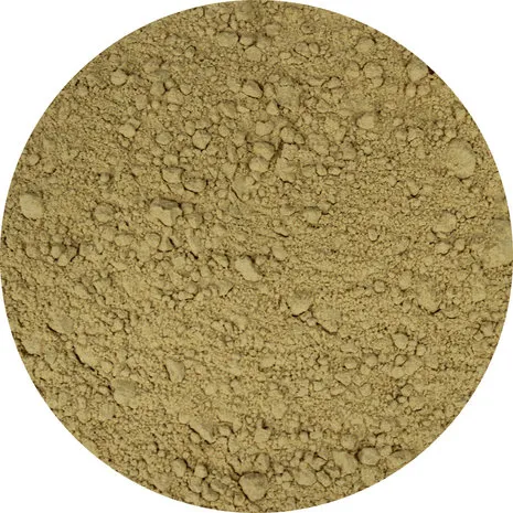 Van Beekum Specerijen Geröstetes Zwiebelpulver