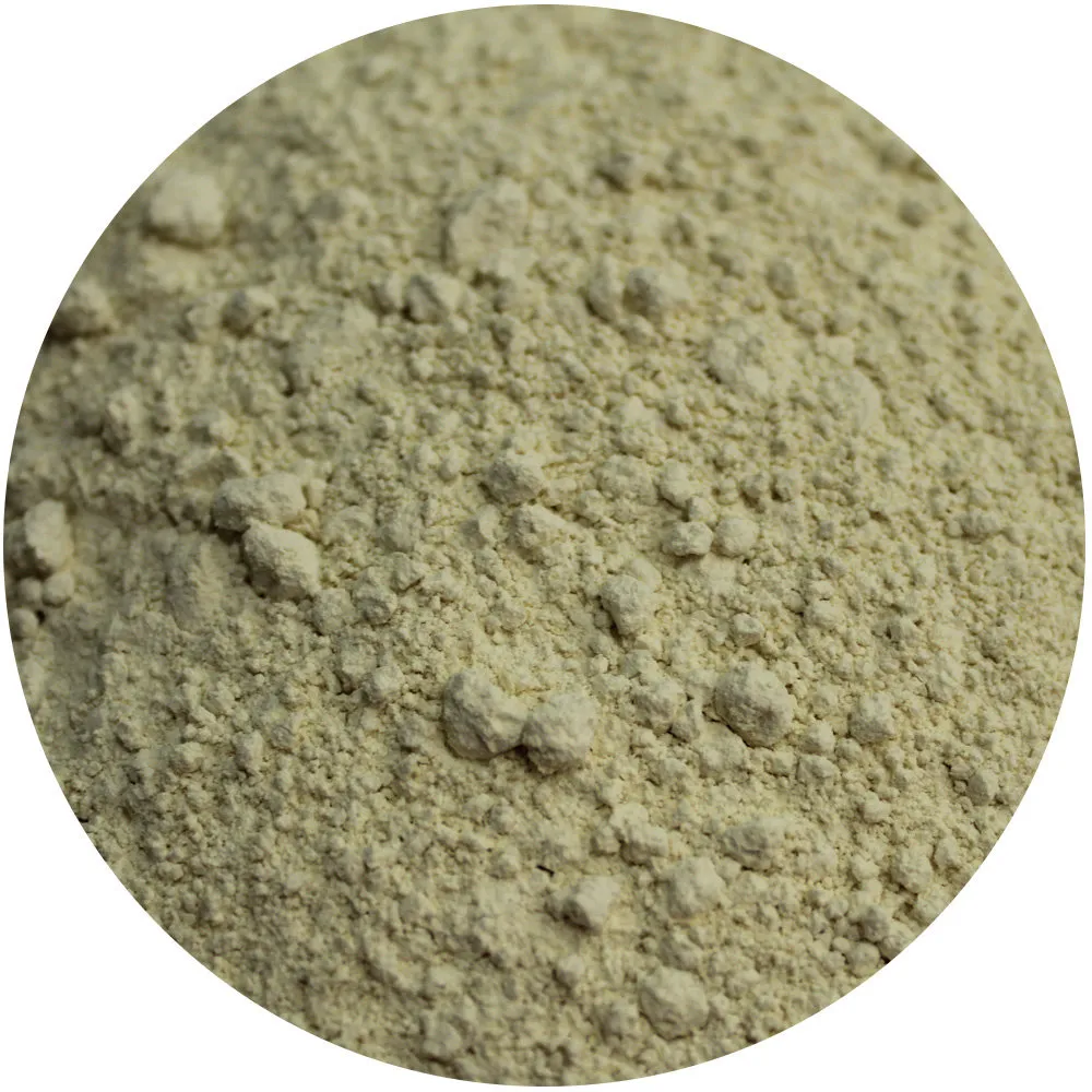 Van Beekum Specerijen Horseradish Powder