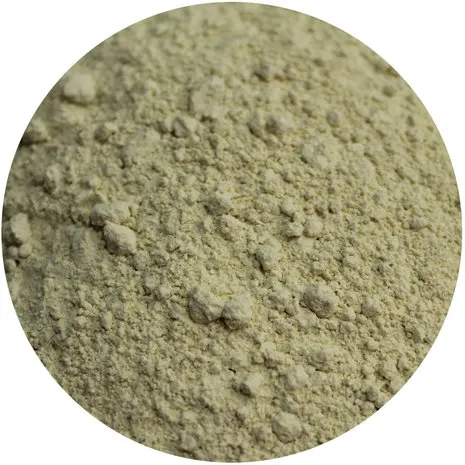 Van Beekum Specerijen Horseradish Powder