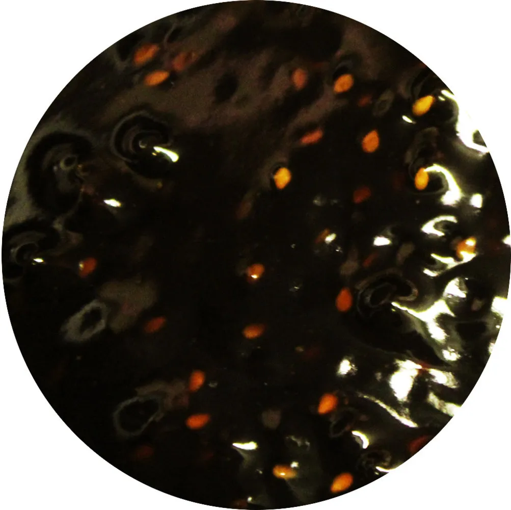 Van Beekum Specerijen Teriyaki Sesam Sauce Van Beekum Specerijen Teriyaki Sesam Sauce