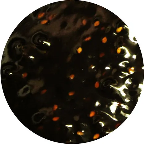 Van Beekum Specerijen Teriyaki Sesam Sauce Van Beekum Specerijen Teriyaki Sesam Sauce