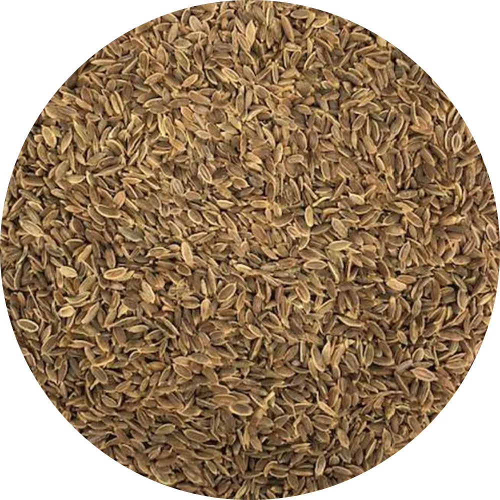 Van Beekum Specerijen Dillkörner ganz Van Beekum Specerijen Dillkörner ganz