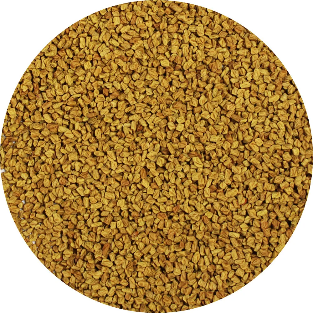 Van Beekum Specerijen Bockshornklee / Fenugreek Ganz