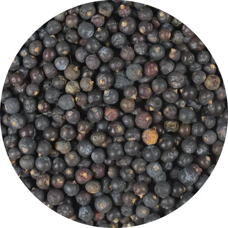 Van Beekum Specerijen Wacholderbeeren Van Beekum Specerijen Wacholderbeeren