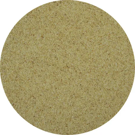 Van Beekum Specerijen Garlic Granules