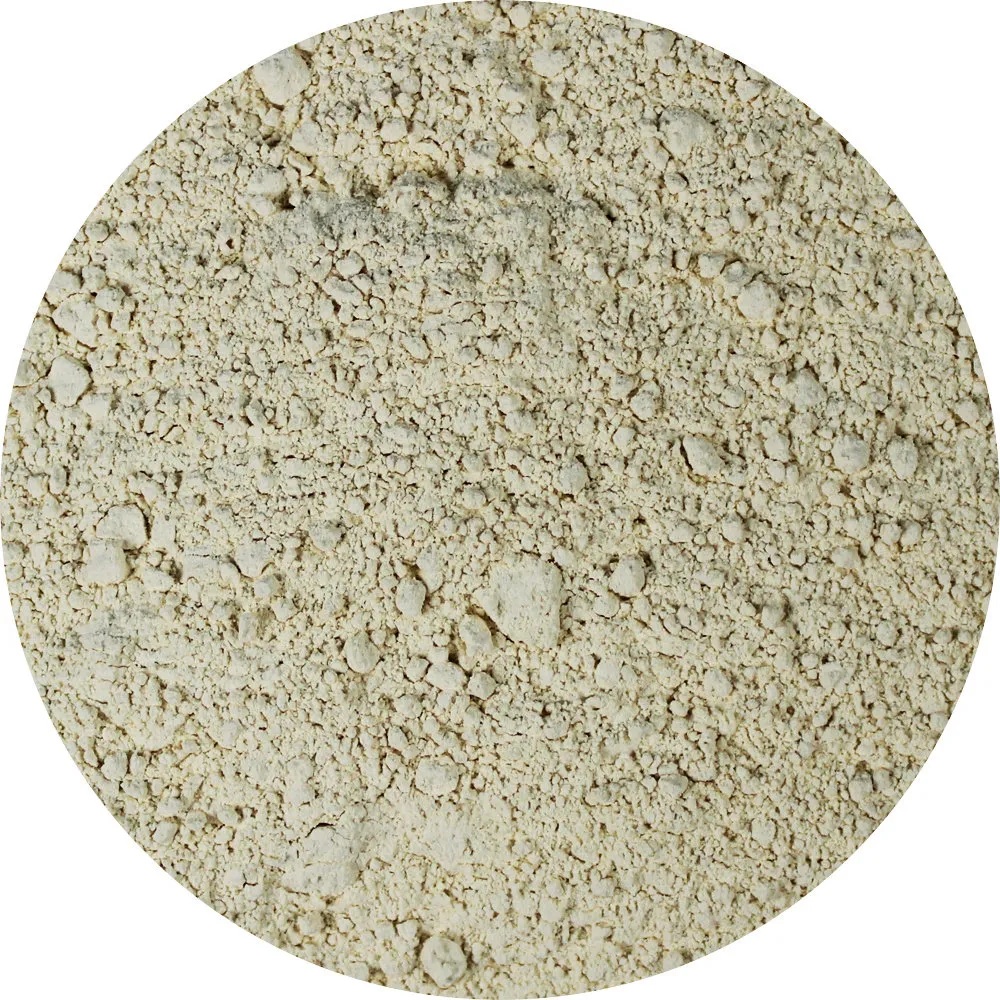 Van Beekum Specerijen Knoblauchpulver