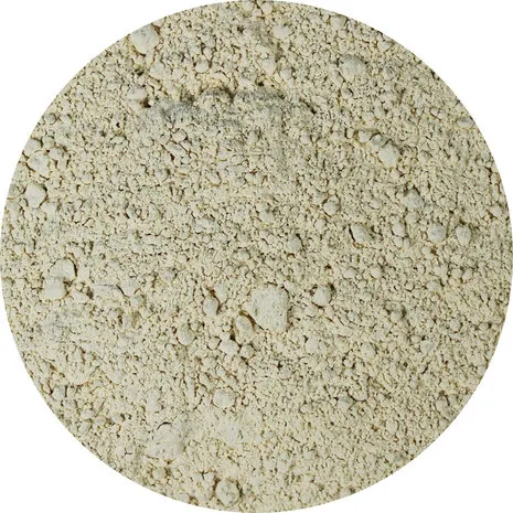 Van Beekum Specerijen Knoblauchpulver