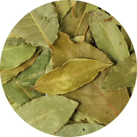 Van Beekum Specerijen Lorbeerblatt ganz