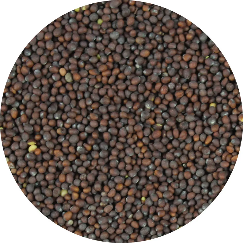Van Beekum Specerijen Brown Mustard Seeds